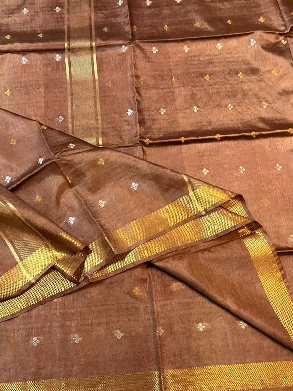 Elegant_Bhagalpuri_Raw_Silk_Saree_with_Zari_Motifs_and_Golden_Border