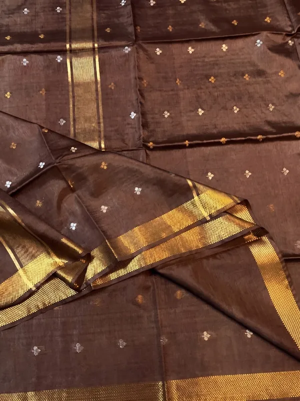 Elegant_Bhagalpuri_Raw_Silk_Saree_with_Zari_Motifs_and_Golden_Border