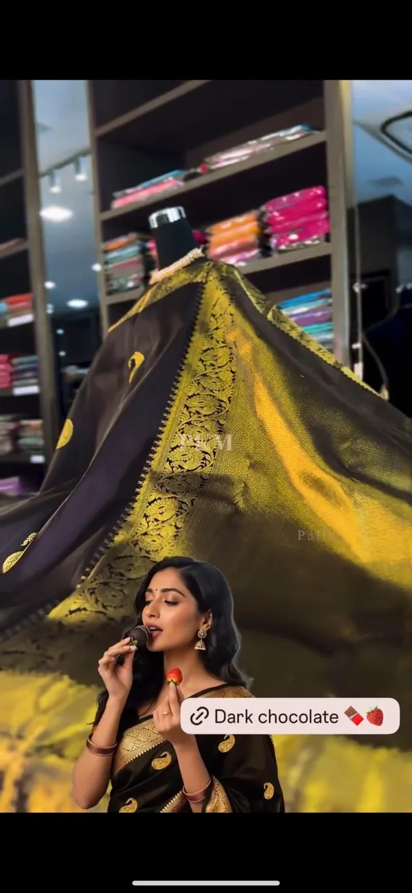 Tremendous_Chocolate_Soft_Banarasi_Silk_Saree_With_Supernal_Blouse_Piece