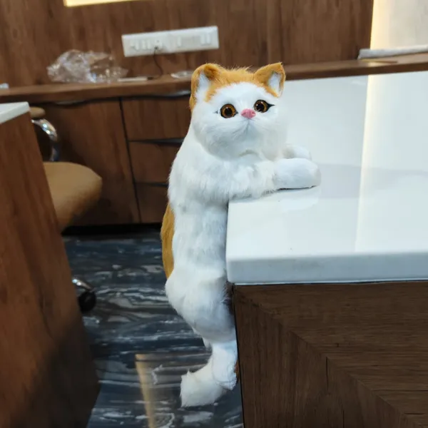 White_Climbing_Cat_For_Home_&_Office_Decor