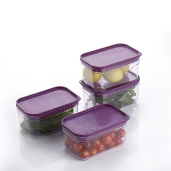 Purple_Bpa_Free_Stackable_Airtight_Food_Storage_Containers_(Set_Of_4)_(_650_Ml_)