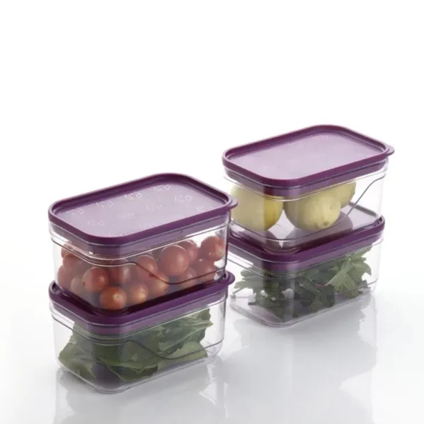 Purple_Bpa_Free_Stackable_Airtight_Food_Storage_Containers_(Set_Of_4)_(_650_Ml_)