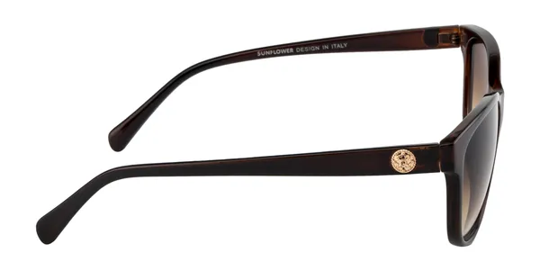 Brown_Women_Gradient_Lens_Designer_Rectangle_Premium_UV_Protected_Sunglasses