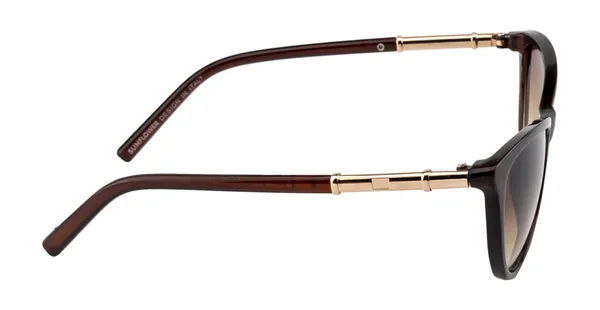 Brown_Women_Gradient_Lens_Designer_Bug_Eye_Premium_UV_Protected_Sunglasses