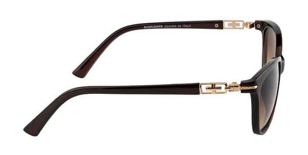 Brown_Women_Gradient_Lens_Designer_Bug_Eye_Premium_UV_Protected_Sunglasses