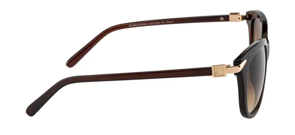 Brown_Women_Gradient_Lens_Designer_Bug_Eye_Premium_UV_Protected_Sunglasses