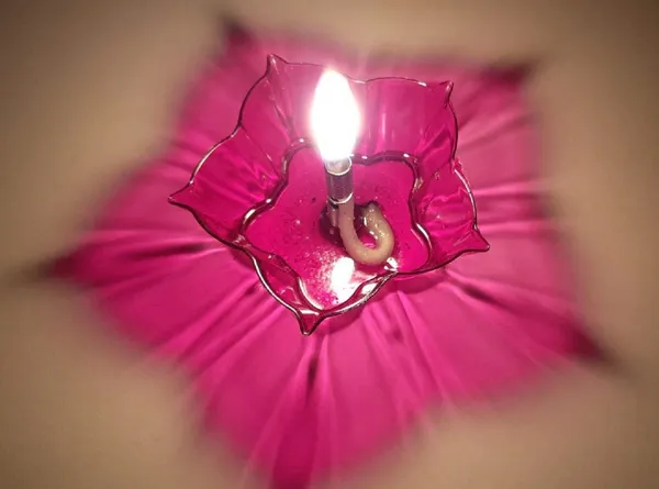 3D_Diya_Reflection_Diwali_Decorations_Set_|_Plastic_Diya_for_Puja_and_Festive_Home_Decor