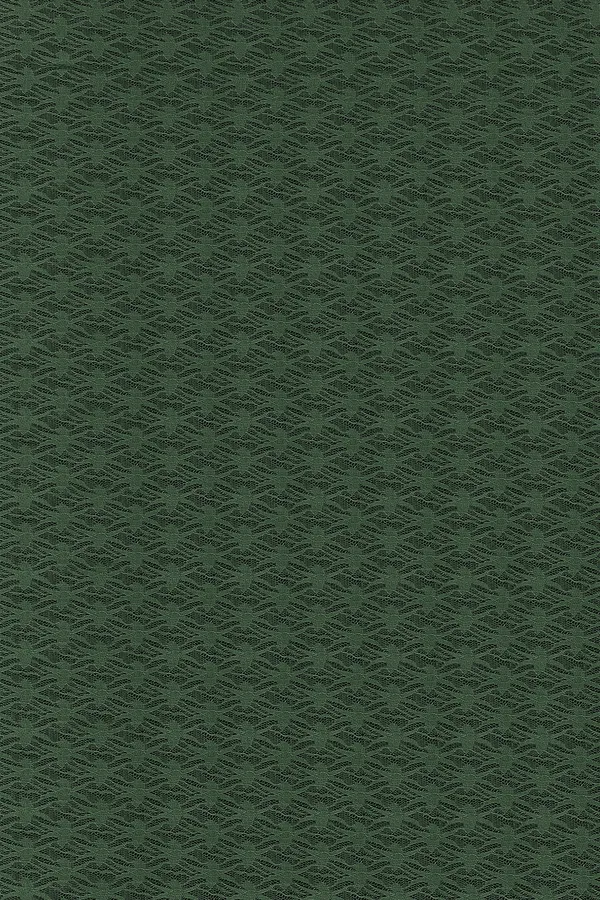 Embroidered_Lucknow_Chikankari_Net_Saree_(Green)