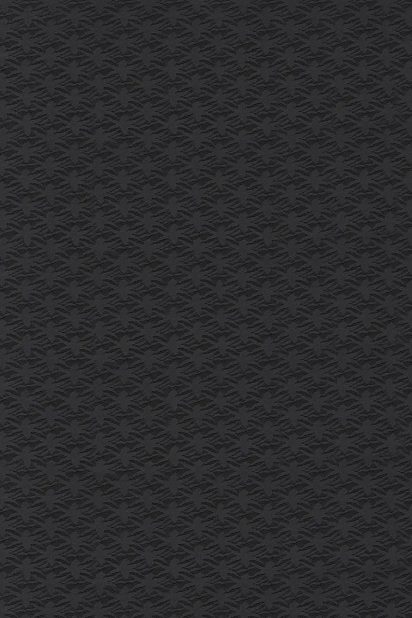 Embroidered_Bollywood_Net_Saree_(Black)