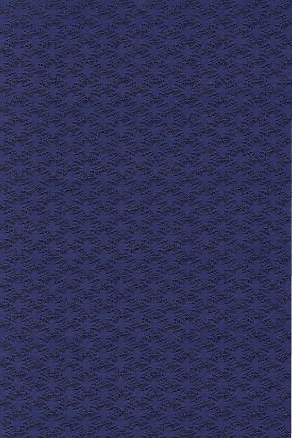 Embroidered_Bollywood_Net_Saree_(Blue)
