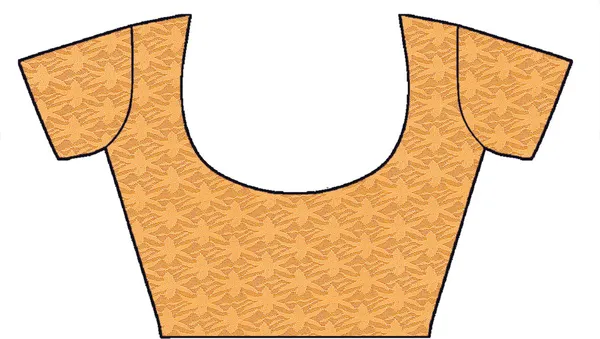 Embroidered_Bollywood_Net_Saree_(Cream)