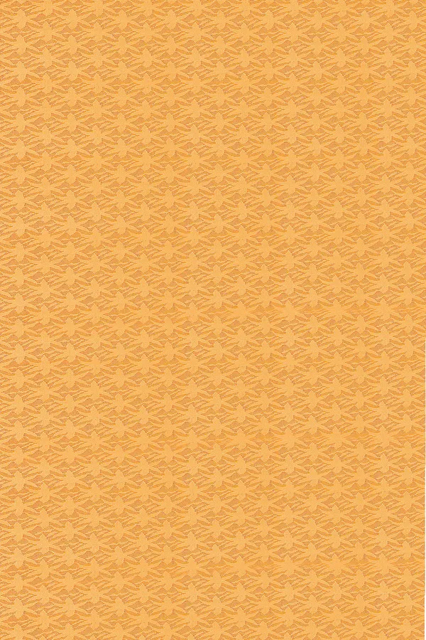 Embroidered_Bollywood_Net_Saree_(Cream)