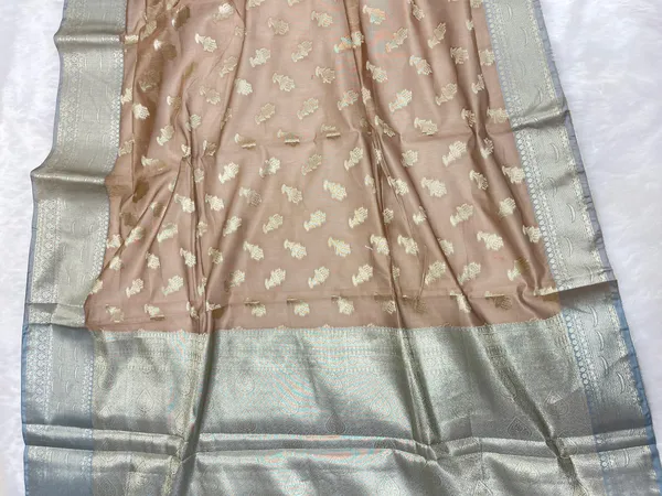 Light_Brown_Cotton_Floral_Water_Zari_Booti_Banarasi_Saree_JVC_12