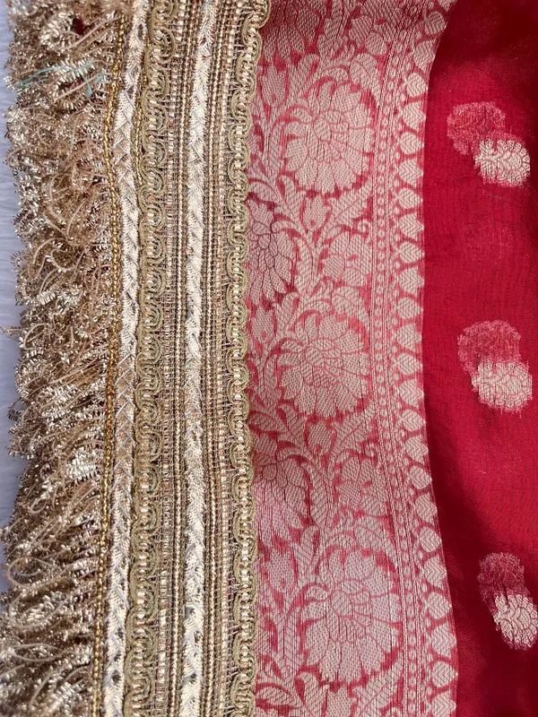 Red_Glass_Tissue_Silk_Zari_Booti_with_Lace_work_Border_Banarasi_Saree_BFS_GT2