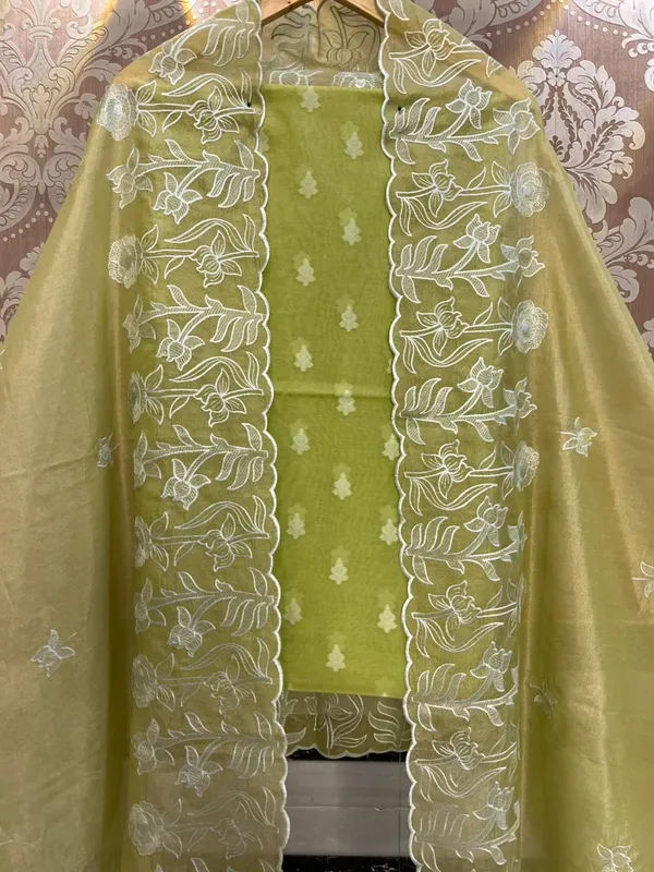 Green_Tissue_Silk_thread_booti_weave_with_Tissue_silk_Cutwork_Border_Embroidery_Dupatta_1500ASG_TSE2