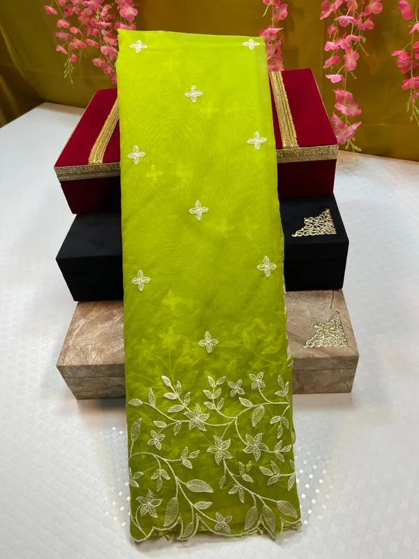 Green_Organza_Silk_Floral_Resham_Booti_with_Embroidery_Border_Banarasi_Saree_MS_OG2