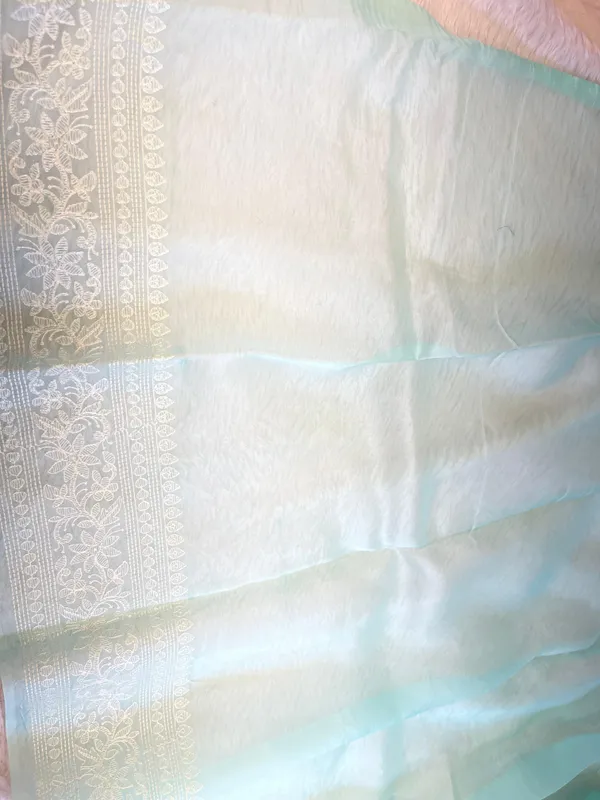 Pure_Handloom_Seagreen_Kora_Organza_Resham_Floral_Mina_Jaal_Embroidered_Mina_Border_Banarasi_Saree_480AJ_ME6