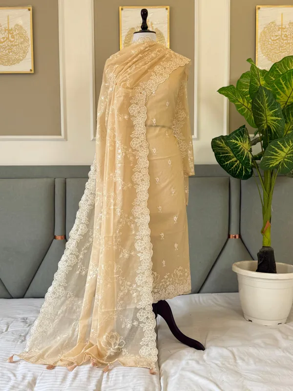 Beige_Mal_Chanderi_Embroidery_Daman_Booti_Banarasi_Suit_With_Embroidery_Jaal_Dupatta_180Pnj_Mle4