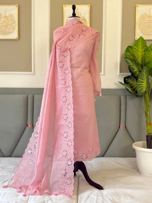Blush_Pink_Mal_Chanderi_Applique_Daman_Booti_Banarasi_Suit_With_Applique_Dupatta_180PNJ_MLA12