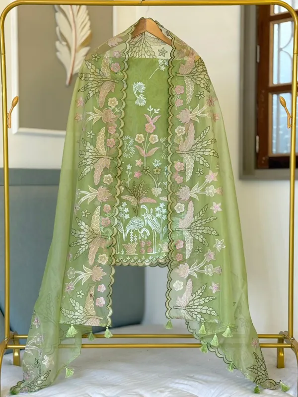 Green_Organza_Tissue_Applique_Multi_Embroidery_Banarasi_Suit_With_Applique_Dupatta_22PNJ_OG1