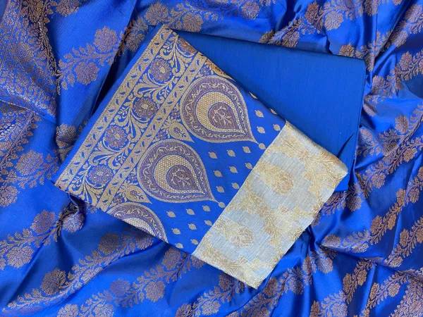 Light_Blue_Cotton_Alfi_Zari_Jaal_Contrast_Royal_Blue_Silk_Border_Banarasi_Suit_55IM_CTN9