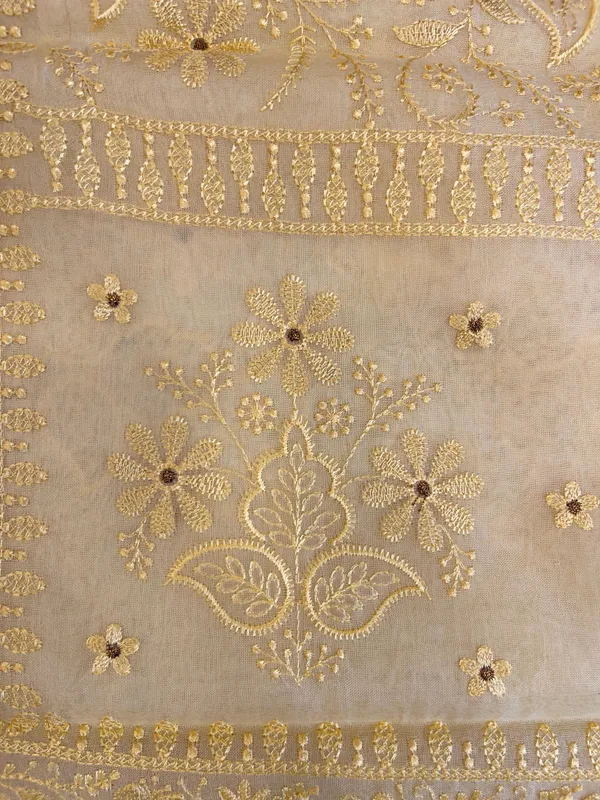 Pure_Handloom_Light_Yellow_Kora_Organza_Floral_Resham_Jaal_Embroidery_Banarasi_Saree_450AJ_ME1