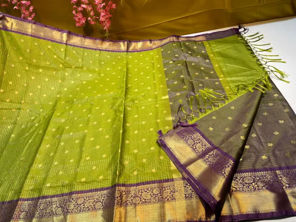 Pista_Green_Gadhwal_Silk_Floral_Zari_Booti_with_Contrast_Purple_Border_Banarasi_Saree_MS_GS1