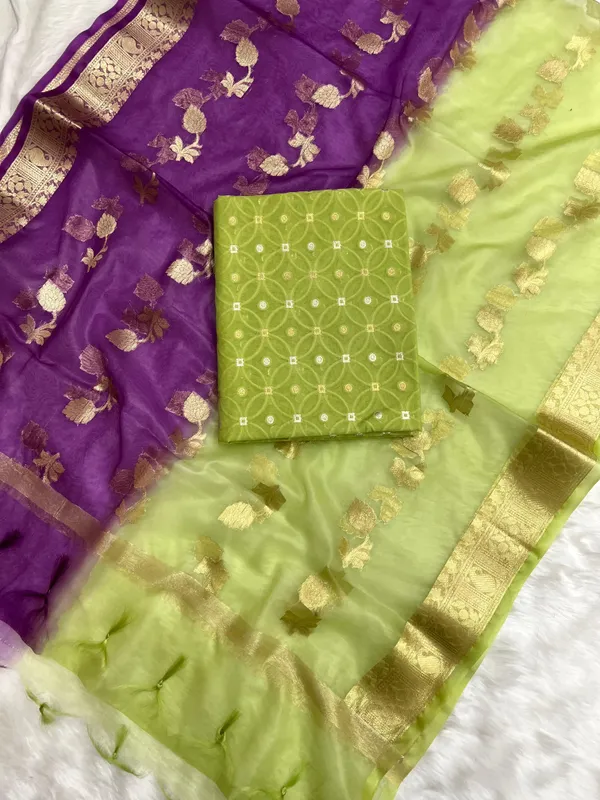 Green_Cotton_Chanderi_Geometrical_Pattern_Banarasi_Suit_Set_with_Dual_Shaded_Floral_Booti_Dupatta_1250ASG_CCH3