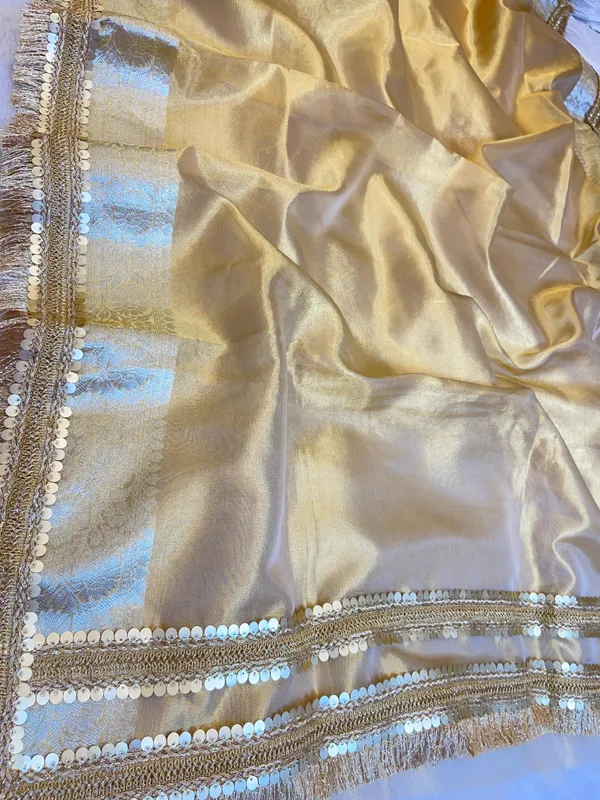 Light_Gold_Tissue_Silk_Plain_Banarasi_Saree_with_Lace_work_Zari_Border_BFS_TL6