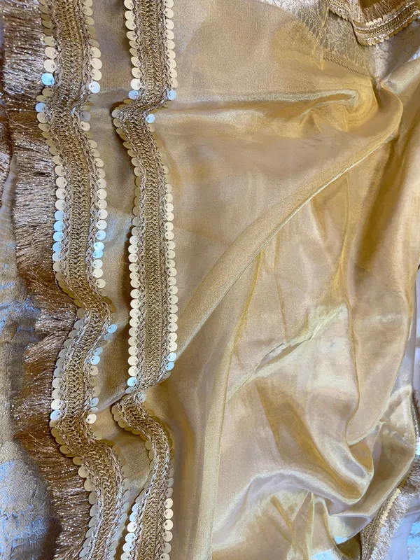 Light_Gold_Tissue_Silk_Plain_Banarasi_Saree_with_Lace_work_Zari_Border_BFS_TL6