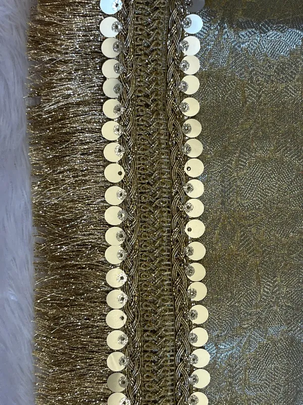 Light_Gold_Tissue_Silk_Plain_Banarasi_Saree_with_Lace_work_Zari_Border_BFS_TL6
