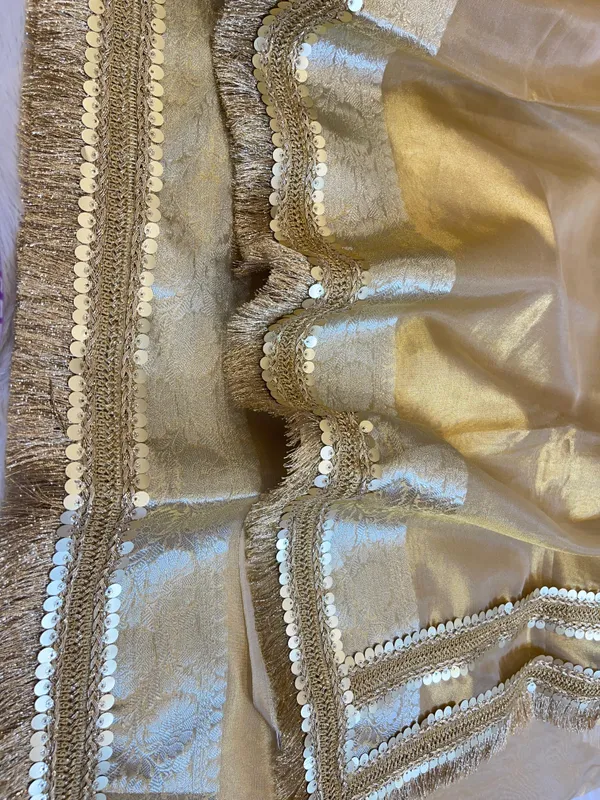 Light_Gold_Tissue_Silk_Plain_Banarasi_Saree_with_Lace_work_Zari_Border_BFS_TL6