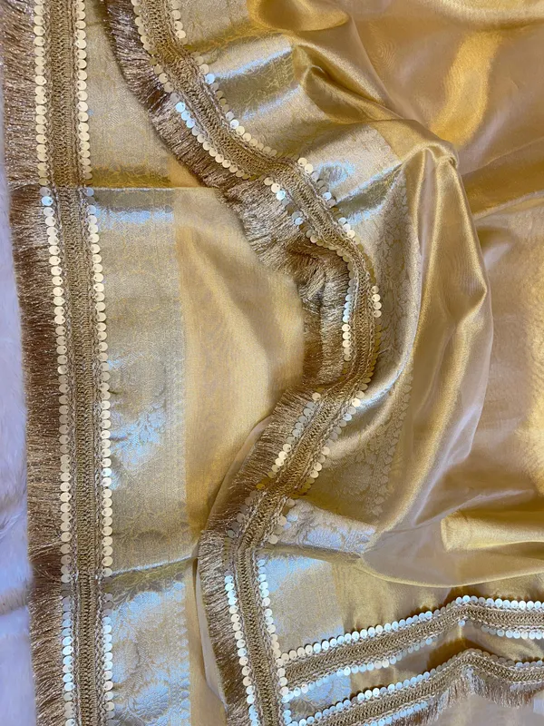 Light_Gold_Tissue_Silk_Plain_Banarasi_Saree_with_Lace_work_Zari_Border_BFS_TL6