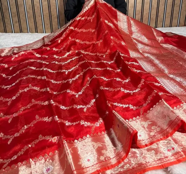 Red_Semi_Chiniya_Silk_Meenakari_Aada_Zari_Jaal_Zari_Border_Banarasi_Saree_115AM_SC5