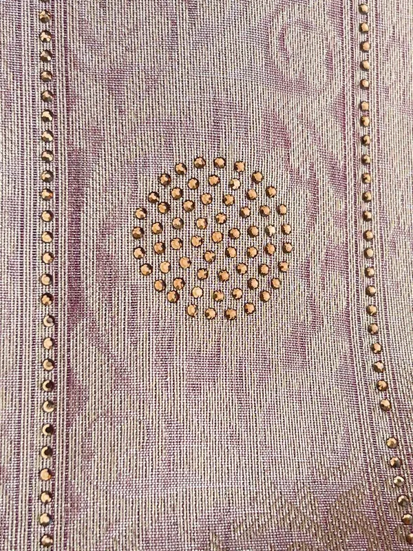Baby_Pink_Glass_Tissue_Silk_Plain_with_Lace_work_and_Stone_work_Zari_Border_Banarasi_Saree_BFS_GT4