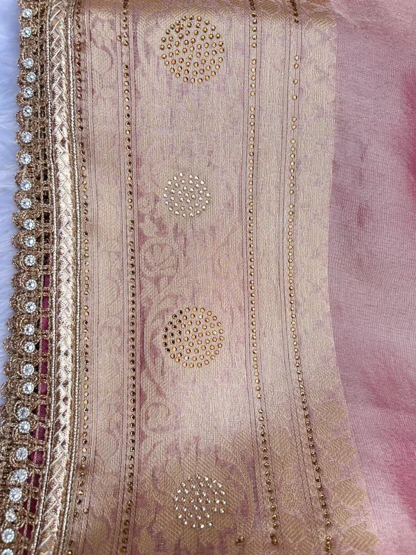 Baby_Pink_Glass_Tissue_Silk_Plain_with_Lace_work_and_Stone_work_Zari_Border_Banarasi_Saree_BFS_GT4