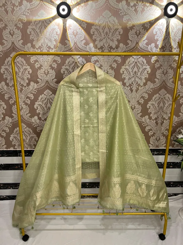 Light_Green_Tissue_Silk_Zari_Booti_Banarasi_Suit_with_Polka_dot_traditonal_Border_Dupatta_1500ASG_TSU5