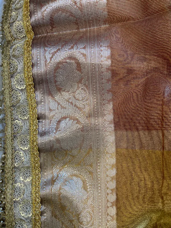 Light_Brown_Tissue_Silk_Plain_Contrast_Brown_Pallu_Banarasi_Saree_with_Lace_work_Border_BFS_TL8