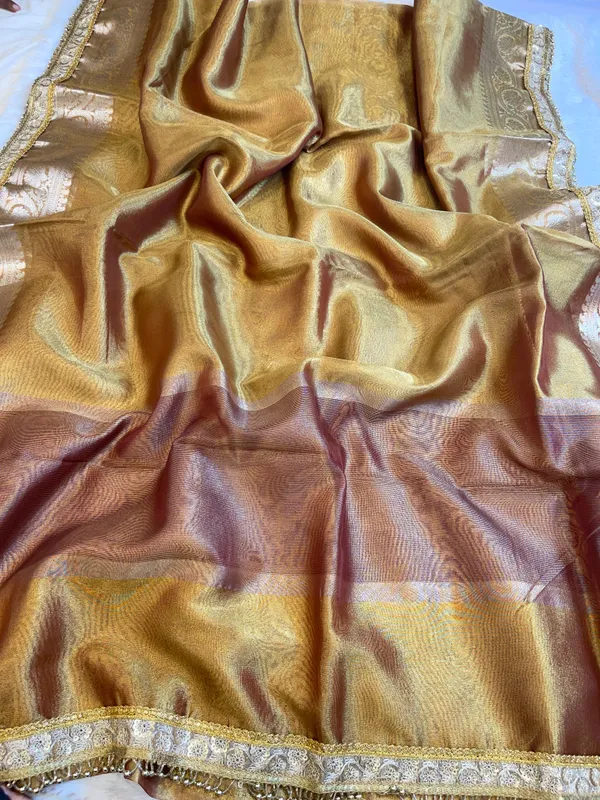 Light_Brown_Tissue_Silk_Plain_Contrast_Brown_Pallu_Banarasi_Saree_with_Lace_work_Border_BFS_TL8