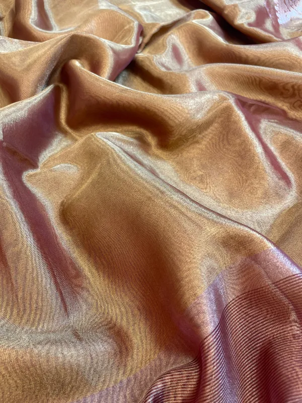 Light_Brown_Tissue_Silk_Plain_Contrast_Brown_Pallu_Banarasi_Saree_with_Lace_work_Border_BFS_TL8