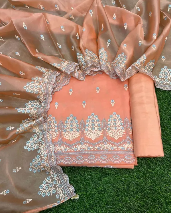 Peach_Tissue_Silk_Embroidery_Resham_Booti_Banarasi_3_Pcs_Suit_Set_Skl_Te14