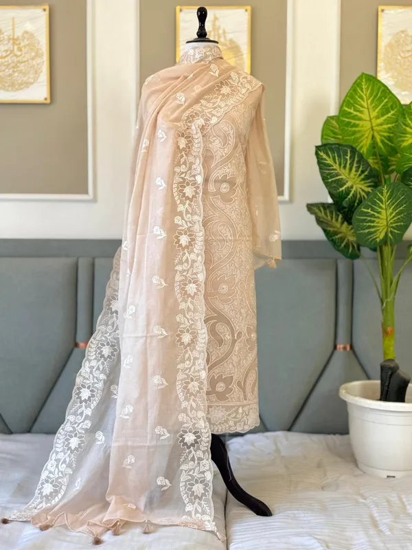 Beige_Mal_Chanderi_Thread_Embroidery_Applique_Jaal_Banarasi_Suit_With_Thread_Embroidery_Dupatta_225Pnj_Mla1