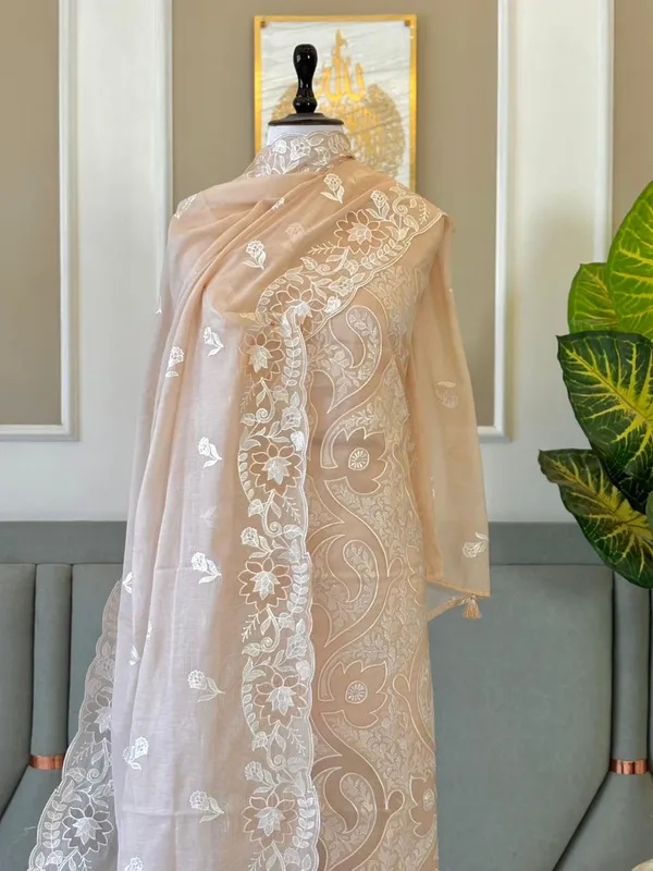 Beige_Mal_Chanderi_Thread_Embroidery_Applique_Jaal_Banarasi_Suit_With_Thread_Embroidery_Dupatta_225Pnj_Mla1
