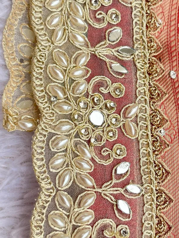 Red_Glass_Tissue_Silk_Floral_Zari_Booti_with_Lace_work_and_Stone_work_Zari_Border_Banarasi_Saree_BFS_GT5