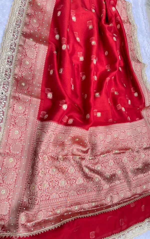 Red_Glass_Tissue_Silk_Floral_Zari_Booti_with_Lace_work_and_Stone_work_Zari_Border_Banarasi_Saree_BFS_GT5
