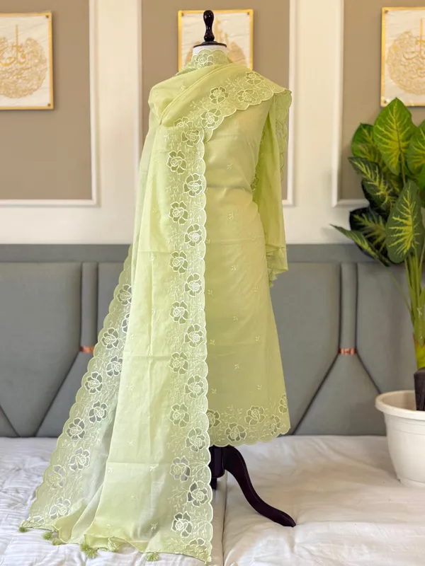 Pista_Green_Mal_Chanderi_Applique_Daman_Booti_Banarasi_Suit_With_Applique_Dupatta_180PNJ_MLA9