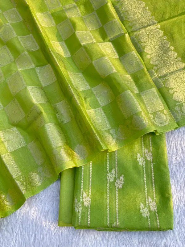 Green_Pam_Mercerised_Silk_Plain_Banarasi_Suit_with_Stripe_Zari_Dupatta_11SKL_PS3