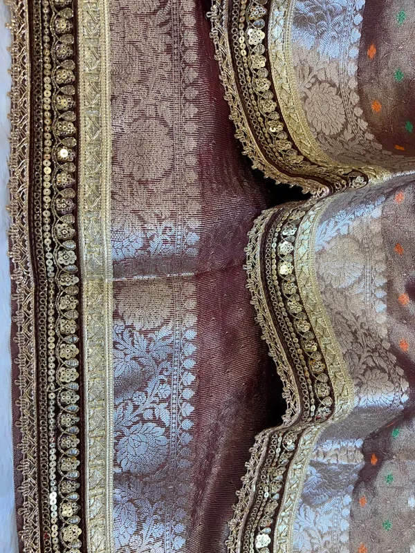Brown_Tissue_Silk_Minakari_Booti_Banarasi_Saree_with_Lace_work_Border_BFS_TL2