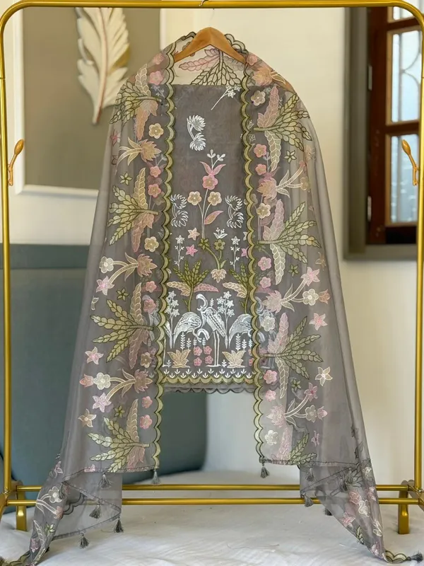 Grey_Organza_Tissue_Applique_Multi_Embroidery_Banarasi_Suit_With_Applique_Dupatta_22PNJ_OG3