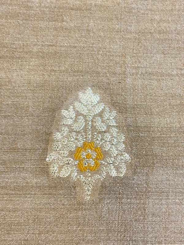 Pure_Handloom_Beige_Munga_Silk_Floral_Handbrush_Minakari_Zari_Booti_Banarasi_Suit_85IM_PMUG2